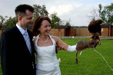 Hochzeit