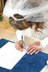 Hochzeit