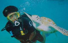 Tiere Unterwasser