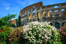 Collosseum